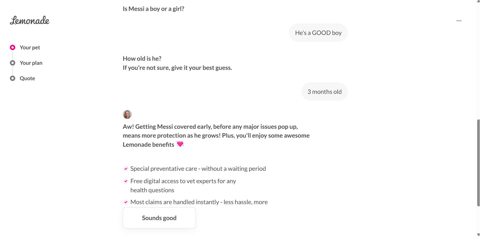 Illustrative example from Lemonade's website.