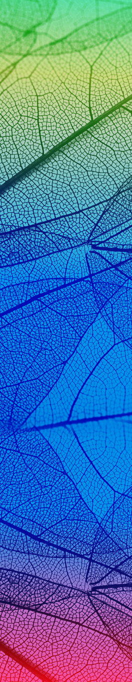 Gartner